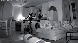 Couple watching TV when the kitchen chair on then other side of the room moves by itself