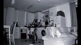 Couple relaxing when kitchen cupboard opens by itself and contents is thrown from it. An orb appears and attacks our cat Rory!