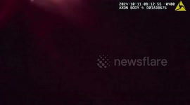 US: Family and Furry Friend Saved from Floodwaters by HCSO Marine Unit