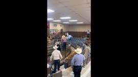 Heifer invades seating area at event in Groesbeck, Texas