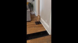 The Moment When You Turn on the Heat on in Fall