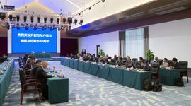 Japanese mayor looks forward to carrying forward friendship with Chinese city