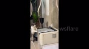 temp