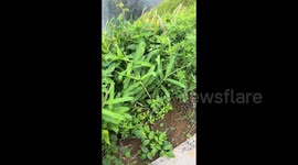 China:  Beautiful Scenery Discovered During Hiking