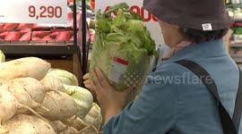 South Korea: Household, restaurants feel price squeeze as cost of napa cabbage soars in South Korea