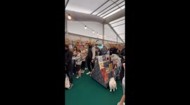 Simba Signs Autographs at the Cheltenham Literary Festival