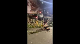 Tree removal mishap in Kaohsiung City