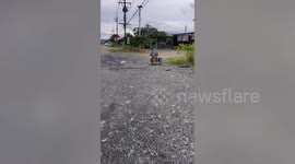 Pet dog joins boy riding on bicycle with sidecar
