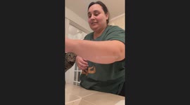 Cat scratches pet-sitter in Ridgefield, Connecticut