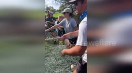 US: Manatee Rescue Operation After Hurricanes Helene and Milton, Four Saved from Largo Cemetery Pond
