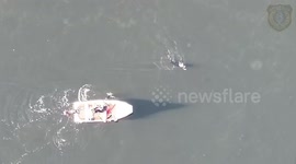 US: Dramatic Drone Footage Captures Rottweiler Rescue from Icy Lake Waban