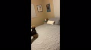 temp