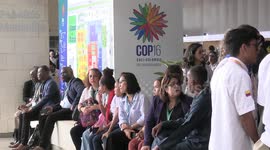 Colombia takes over presidency of COP16 on biodiversity from China