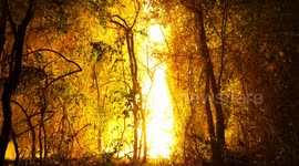 Bolivia: Fires in Chiquitania: Quebracho Firefighters and the Smoke Crisis in Robore