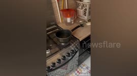 Russia: Teen Torches Apartment Cooking Chips