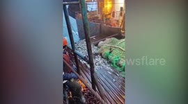 Russia: Fishermen Accidentally Reel In Four Huge Seals That Got Caught In Fishing Nets