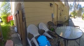 Police rescue owner and pet dogs from house fire in Michigan