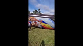 Colorful balloon display featuring animals soars in La Ceja