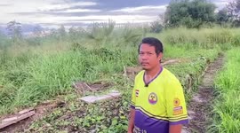 Grave robbers steal 25 skulls from Thai cemetery for 'black magic spells'