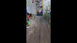 Pug in tarantula costume shocks viewers in Houston