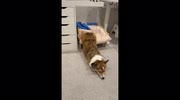 temp
