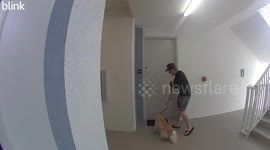 US: Brutal Animal Abuse Caught on Camera, Martin County Man Jailed in Shocking Case