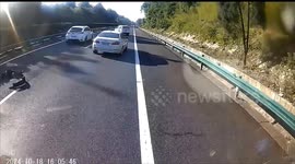 高速上前车急刹 后方两车惊险躲避