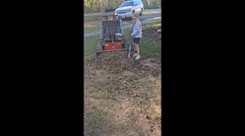 Daughter Helps With Walnut Cleanup