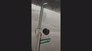 temp
