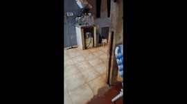 Cat sneezes multiple times in Puerto Eldorado