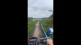 Motorcyclist records unexpected dog jump into plantation in Bangkok