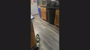 temp