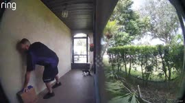 Deaf cat startled by delivery in Central Florida