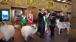 US: Cardinal Dolan Blesses the Animals at Radio City Christmas Spectacular