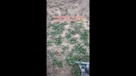 This video was more of a silly joke and all the viewers fell for it 