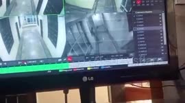 Student attending birthday party falls to death while chasing puppy on balcony