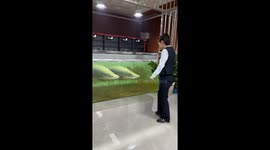 Giant arapaima startles feeder in China