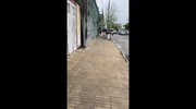 temp