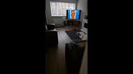 Max the cockapoo puppy watching TV