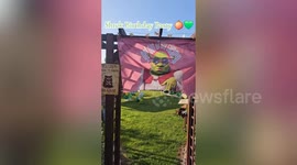 Woman hosts epic Shrek-themed party for her 25th birthday