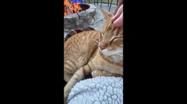 Me and my cat enjoying a nice fire on a cool night. Florida has a huge population of feral cats, this is Enzo and I am his keeper.