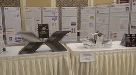 China, Myanmar mark 10 years of biodiversity conservation partnership