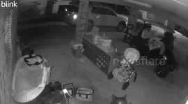 Cheeky wild bear steals trash can from family's front yard