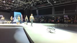 China: Pet owners walk the runway with their pets during Fashionweek
