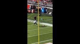 Dachshund Runs Loose at NFL Game