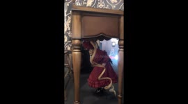 Woman in China stuns with cosplay of anime character Shinku