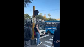 Dog on bus keeps watch amidst extortion woes in Peru