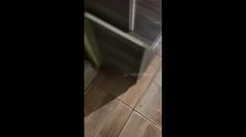 Dirty socks stand upright in Pedro Juan Caballero