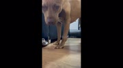 temp