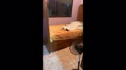 temp